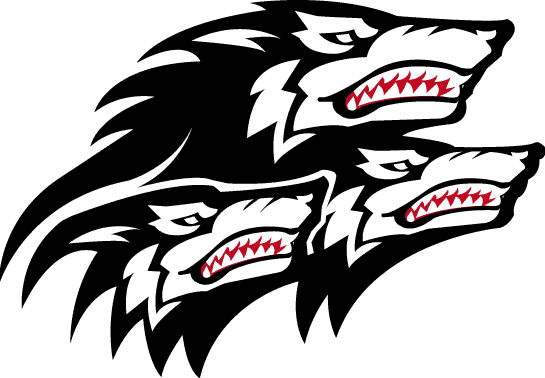 North Carolina State Wolfpack 1999-2005 Alternate Logo iron on transfers for fabric